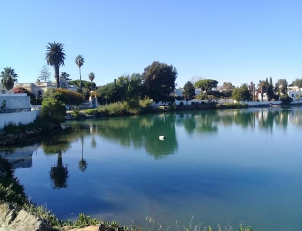 Appartement Num3 Carthage Byrsa Douar ech Chott Dış mekan fotoğraf